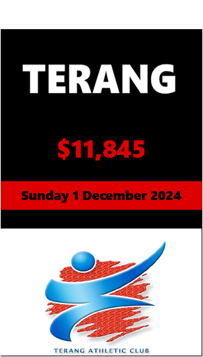 Terang